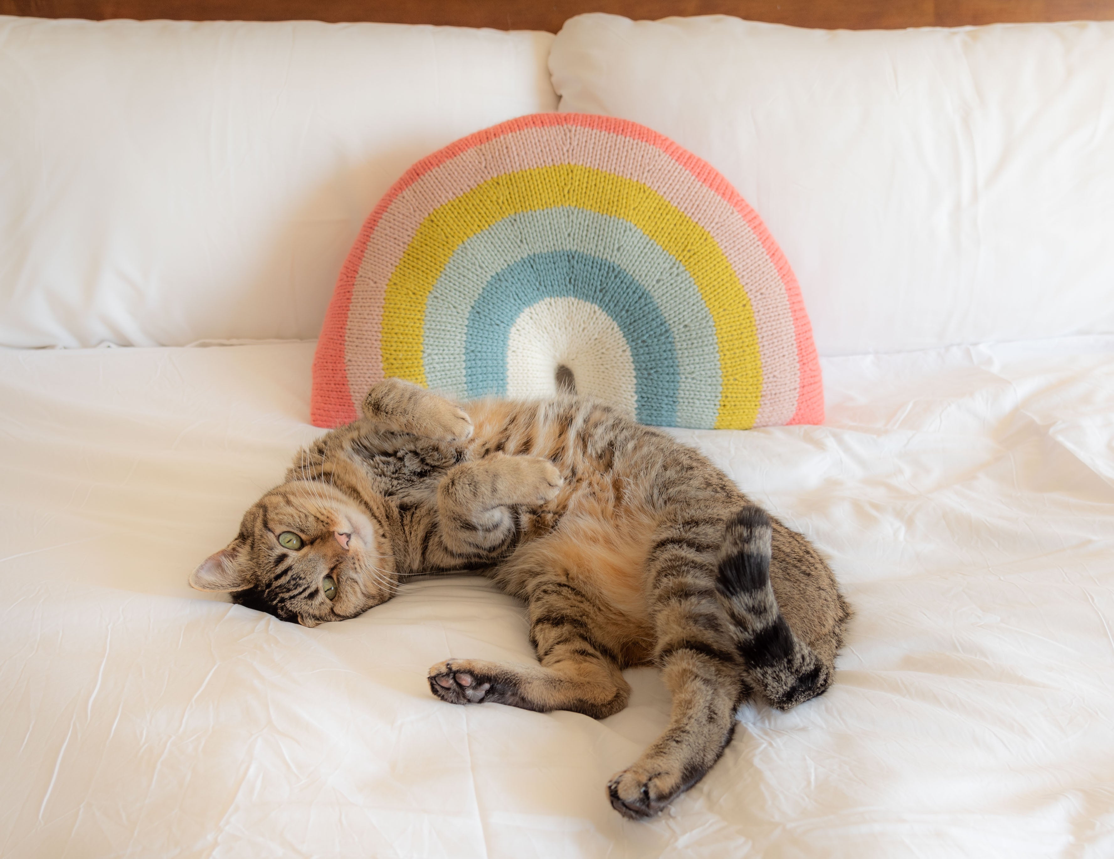 Over-the-Rainbow Pillow Knitting Kit